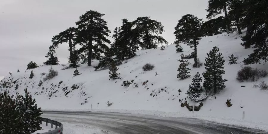 Troodos Snow