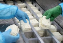 Agriculture Ministry Reduces Halloumi Pdo Production Goat And Sheep Milk Requirements