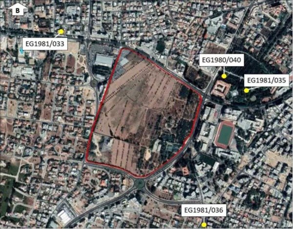 Green Party Appeals To Save Nicosia's Last Olive Grove From Major Engomi Development Project