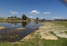 Limassol And Paphos In Water Emergency As Drought Conditions Persist