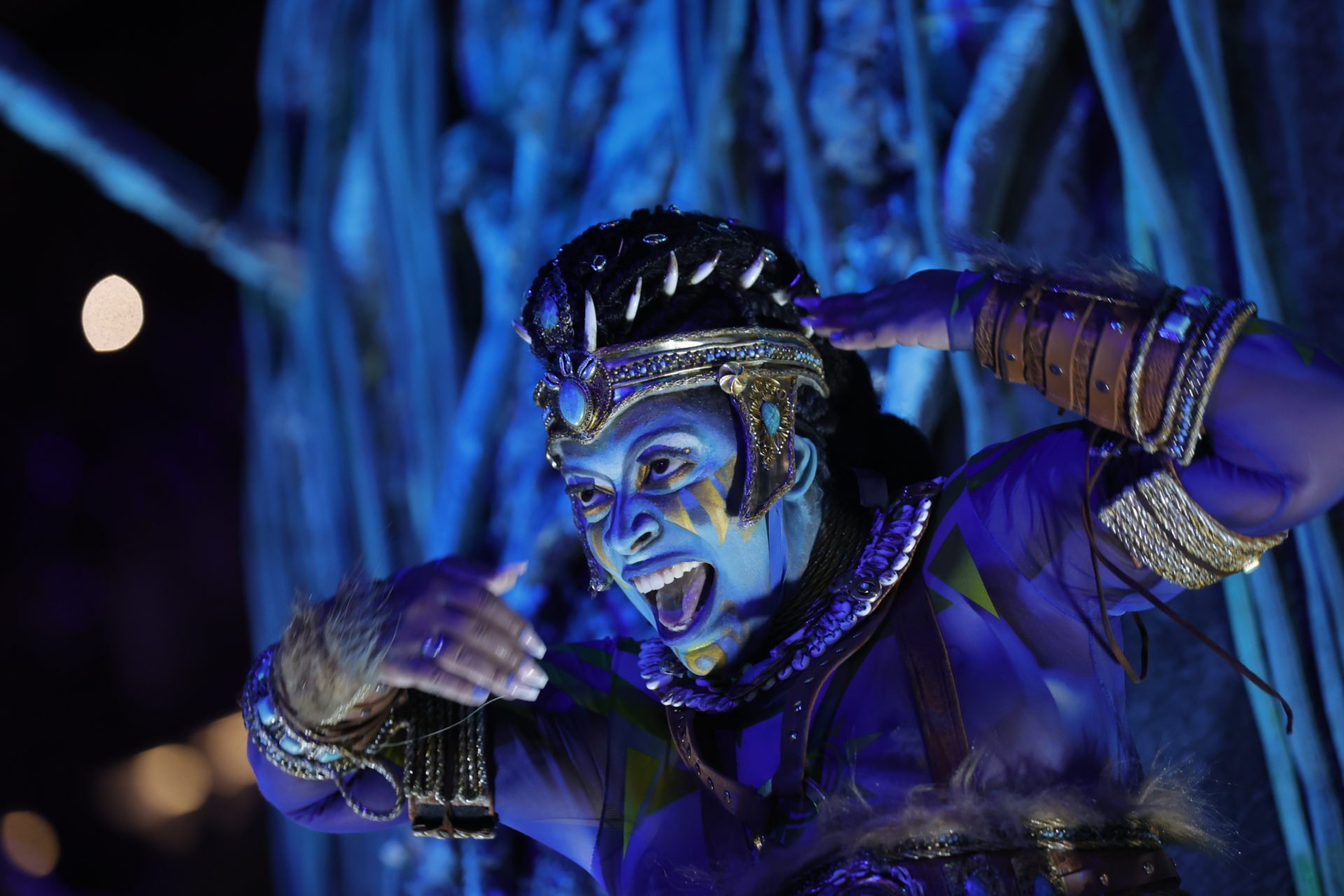 Rio De Janeiro Carnival 2025