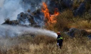 Authorities Blame Arsonists For Multiple Wildfires In Cyprus's Paphos Region