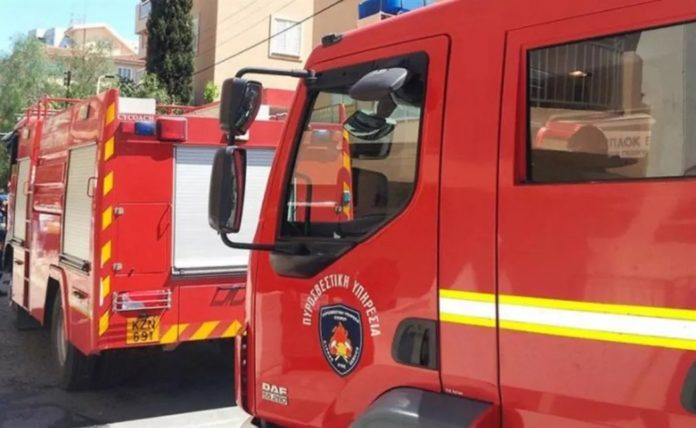 Firefighters Rescue Cat From Nicosia Apartment Blaze
