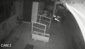 Larnaca Police Brutality