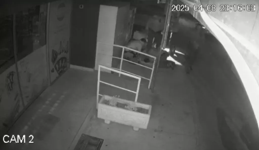 Larnaca Police Brutality