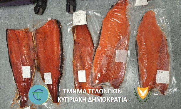 Salmon