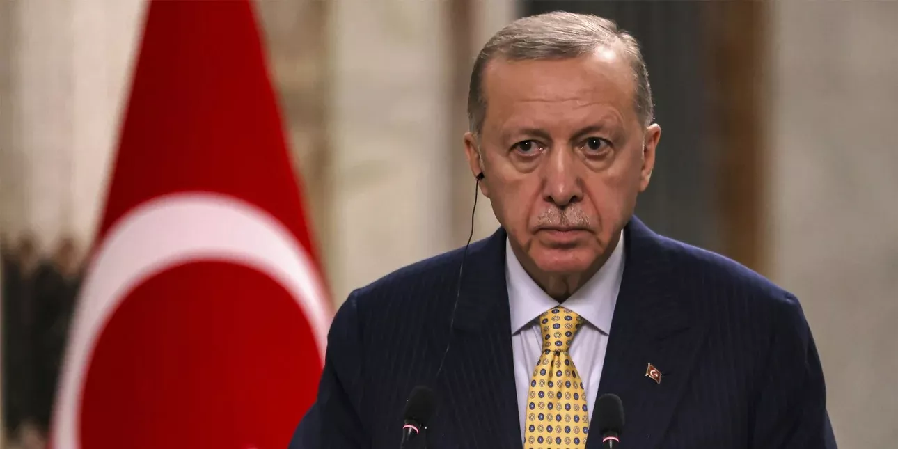 Erdogan Simaia.webp