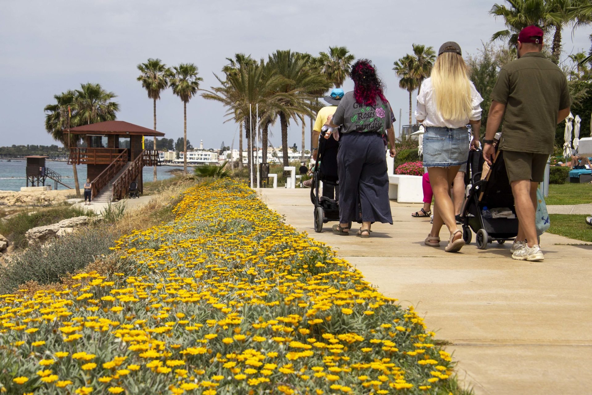Paphos Weather Tourism