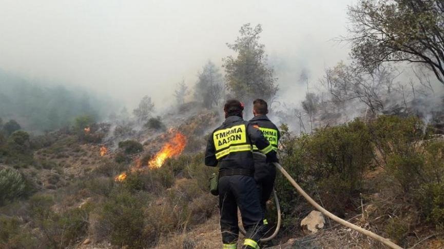 Forestry Department Responds To Akamas Audit Recommendations