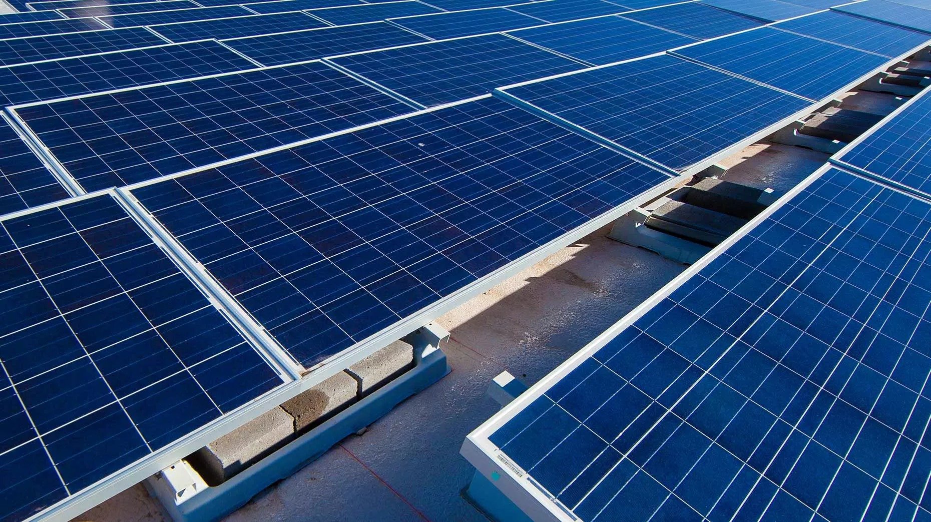Solar Energy Project Shifts To Agrivoltaic Model Following Government Opposition