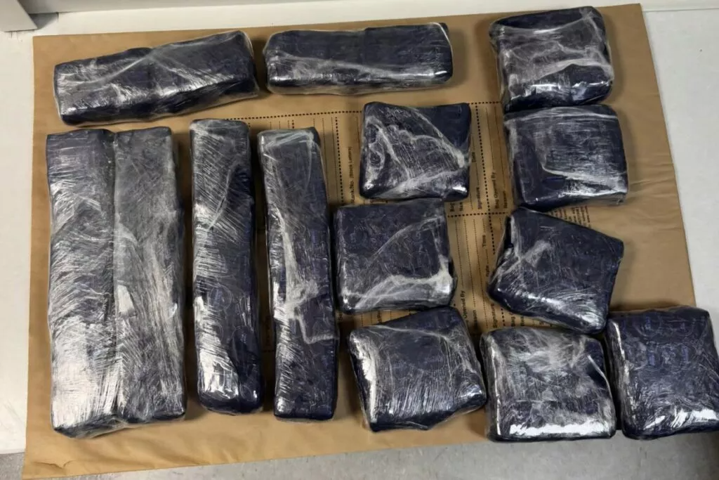 Larnaca Airport Police seize 8.7kg cocaine from Italian teenager in ...