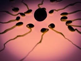 British Doctors Deliver Eight Babies Using Genetic Material From Three People