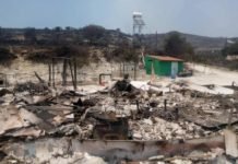 Limassol Wildfire Aftermath Volunteers Mobilise As 237 Homes Damaged