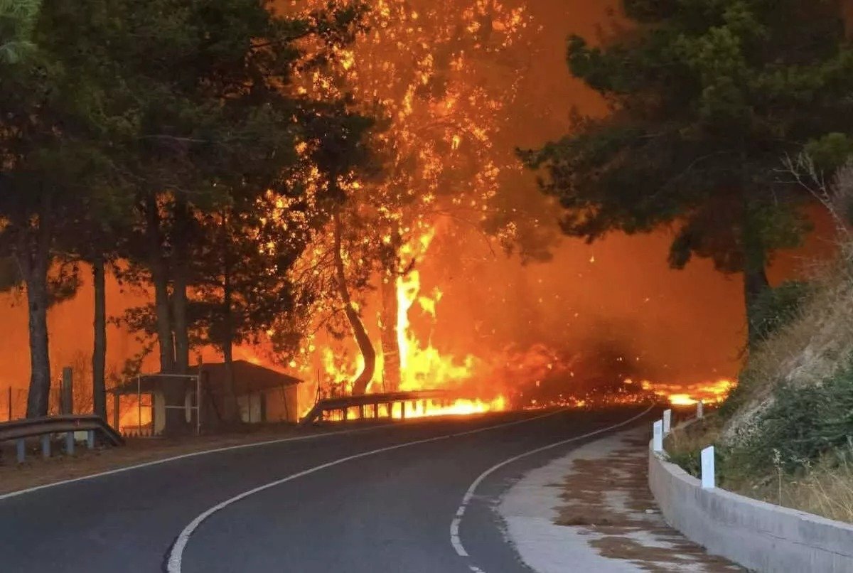 Limassol Wildfire Damages Three Natura 2000 Protected Areas
