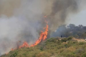 Multiple Roads Remain Closed As Police Patrol Limassol Fire Affected Areas