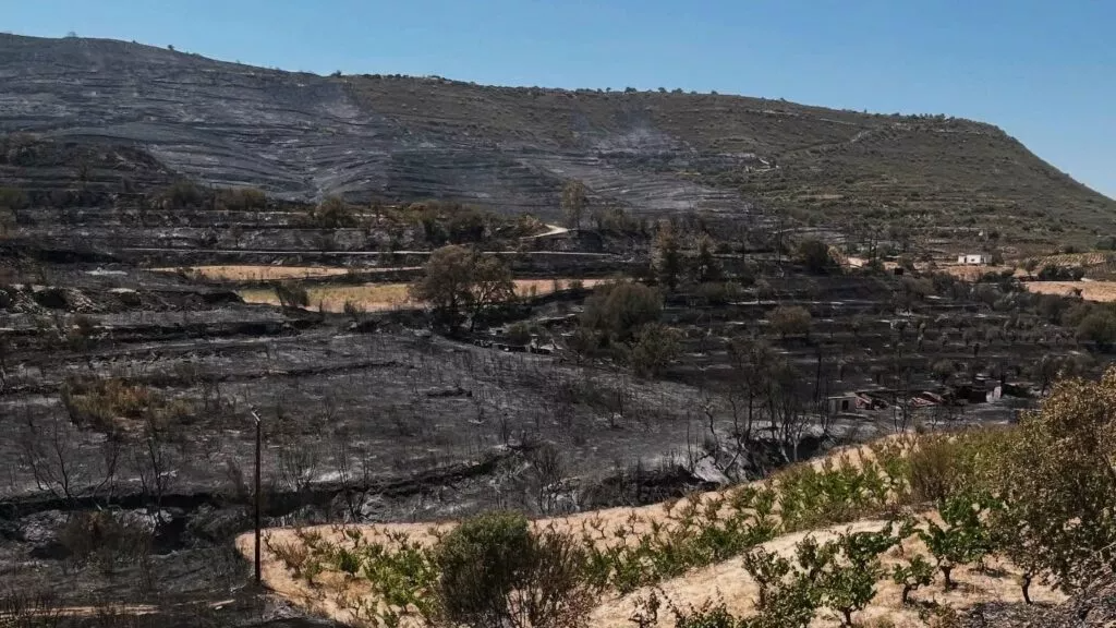 Limassol Fire 3