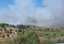 Mallia Fire