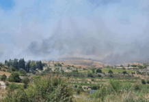 Mallia Fire Limassol