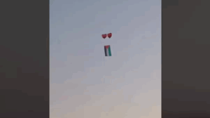 Palestine Flag Alphamega