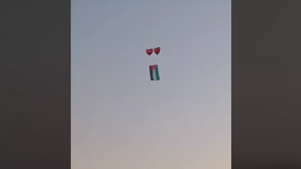 Palestine Flag Alphamega