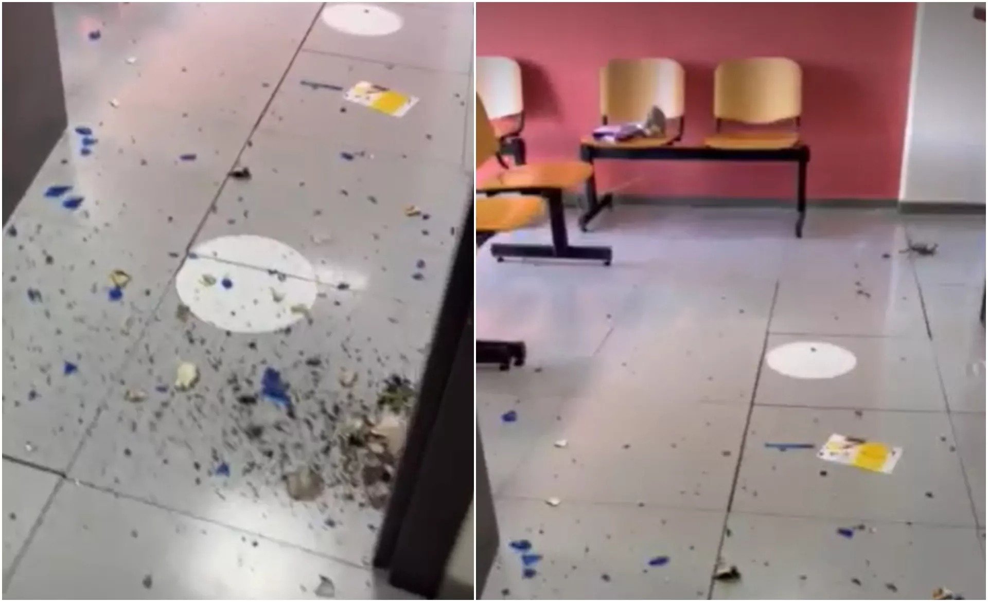 Citizen Smashes Up Limassol Social Services Office And Attacks Employee
