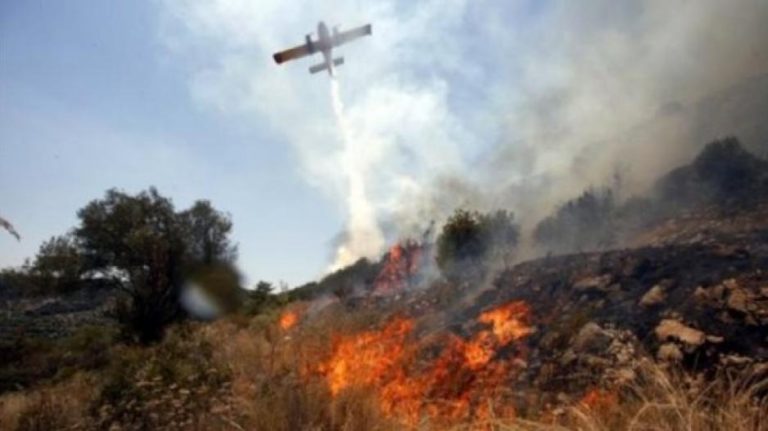Fire Service Mobilised For Ongoing Omodos Blaze