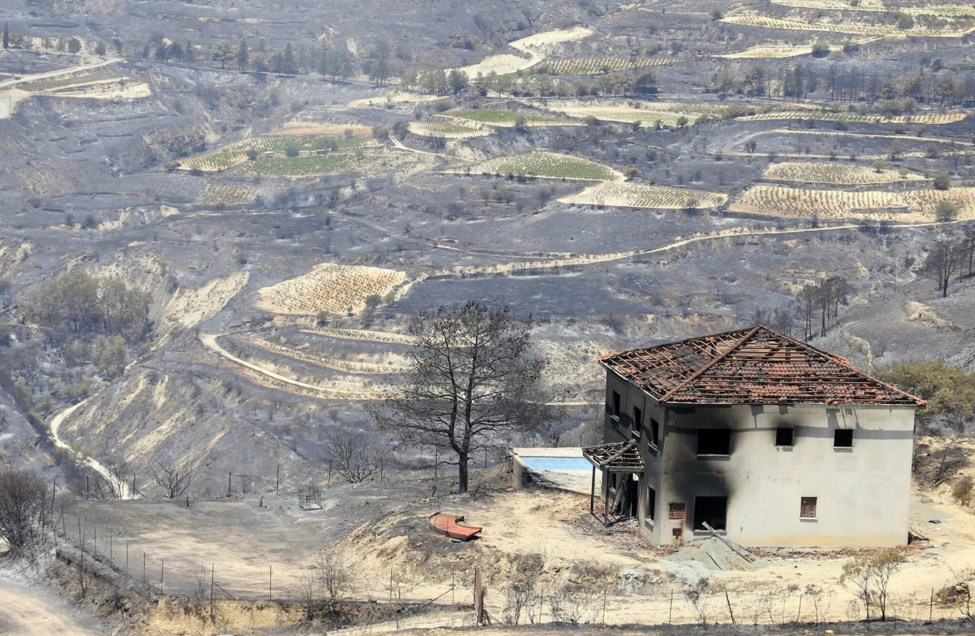 Limassol Mountain Fire Reveals Only 40% Of Damaged Buildings Had Proper Permits