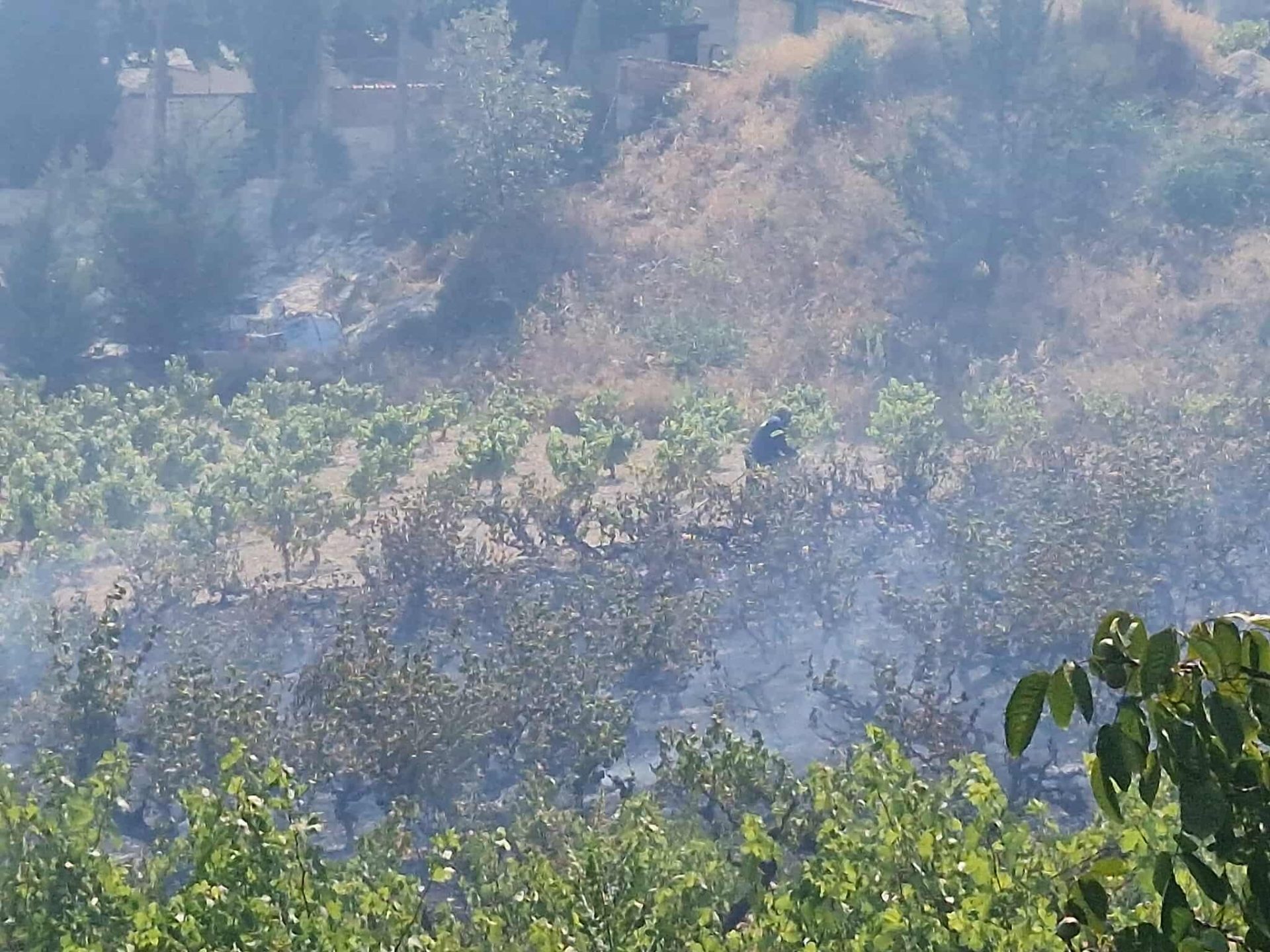 Three fire sources reported in Omodos blaze as road closes | en ...