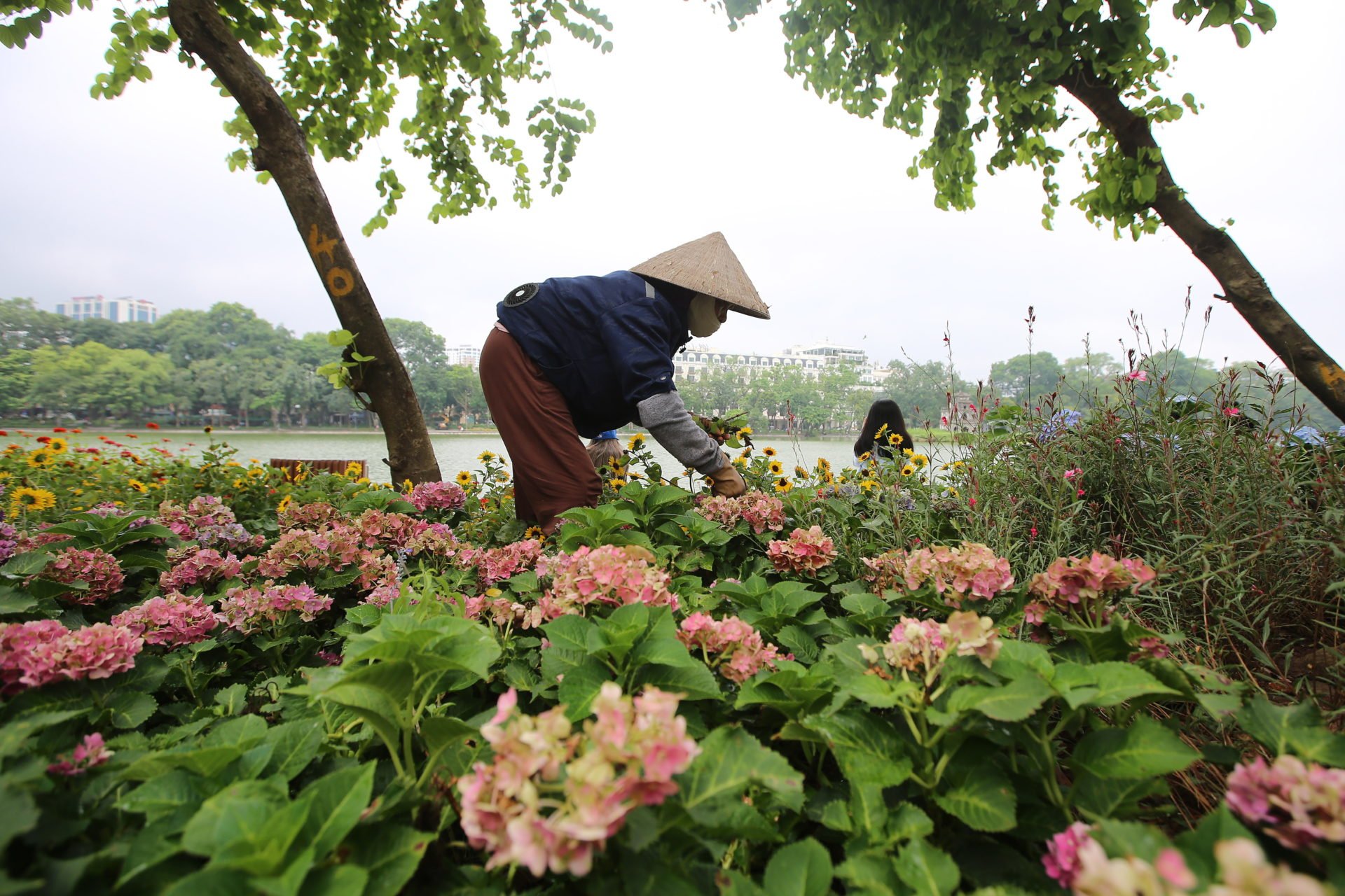Daily Life In Hanoi