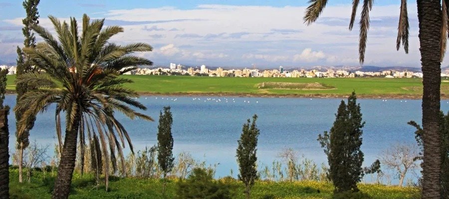 Larnaca Salt Lakes Park Project Advances After 15 Years With €2.6m Budget