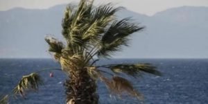 Strong Winds And Clear Skies Forecast For Today