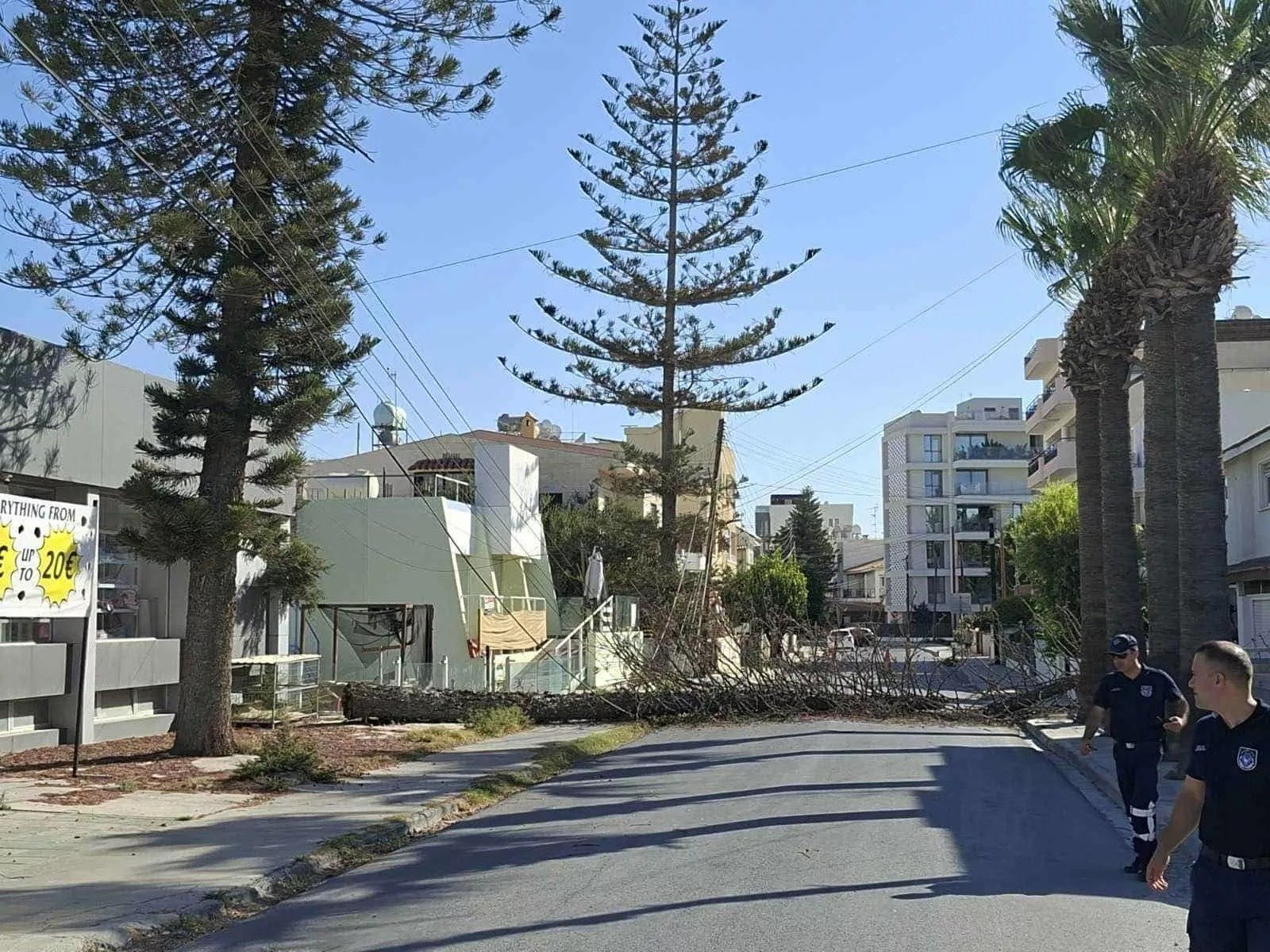 Strong Winds Topple Tree Causing Power Outages And Vehicle Damage In Larnaca