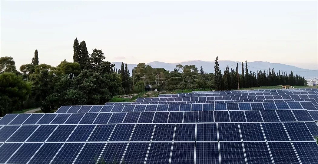 Alektora Solar Park Blocked After Environment Department Reverses Approval, With 2,187 Trees Illegally Felled