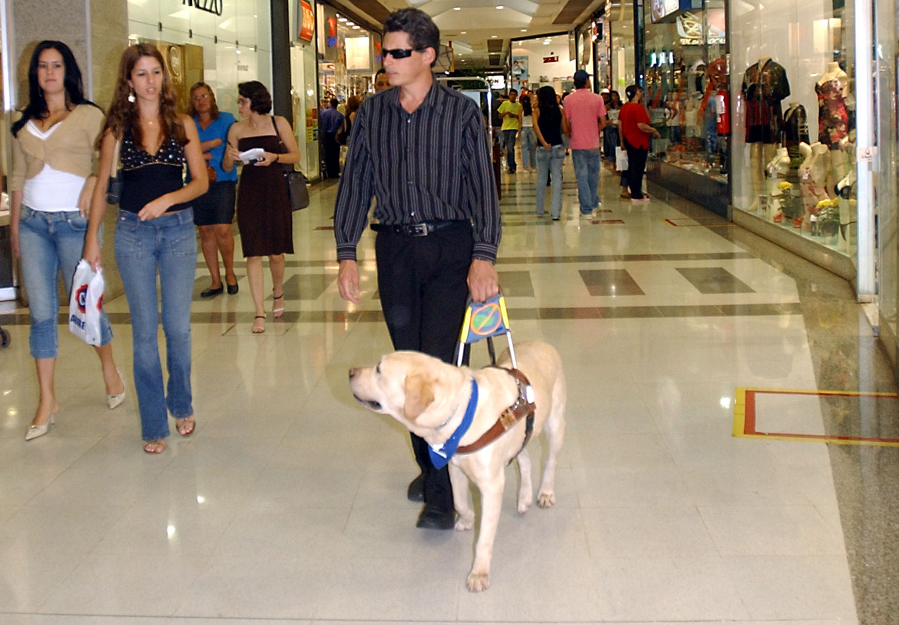 Caoguia2006