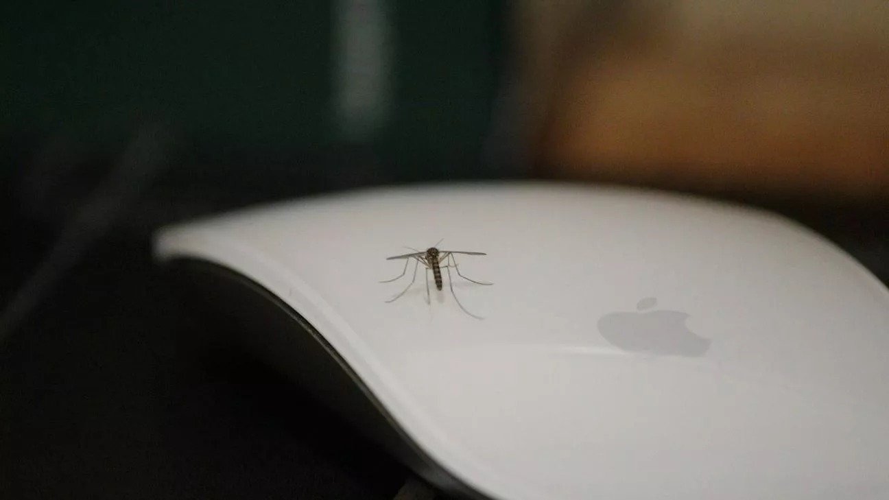 Larnaca Battles Mosquito Plague With Door To Door Campaign