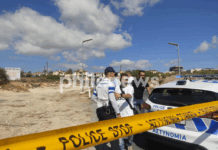 Demosthenous Limassol Murder