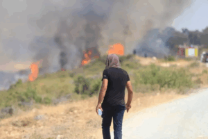 Limassol Fire