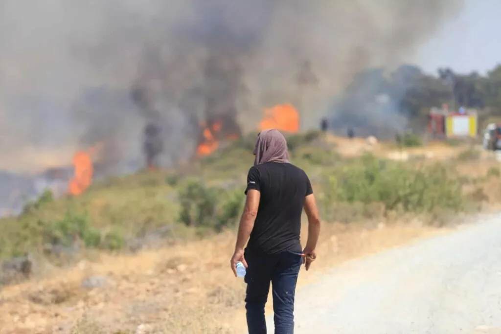 Limassol Fire