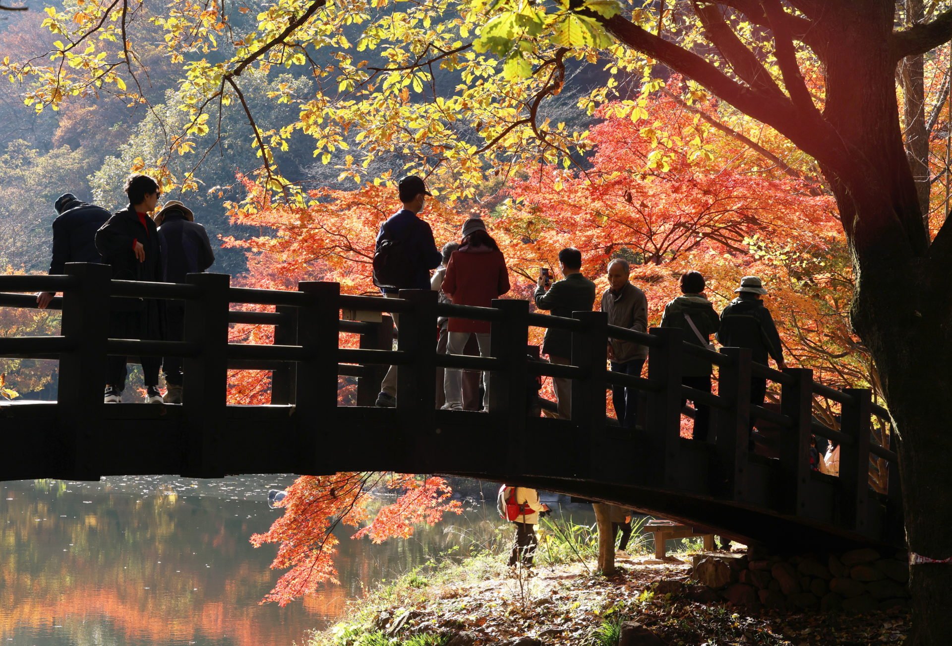Chasing Autumn Foliage Across South Korea