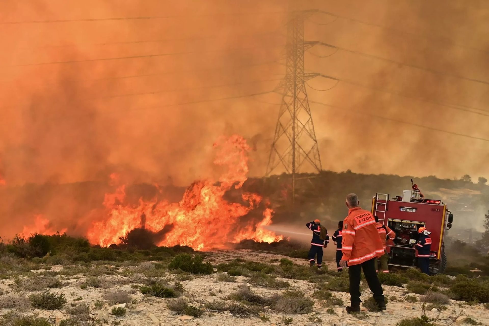 Forest Department To Fight Transfer Of Firefighting Unit To Interior Ministry