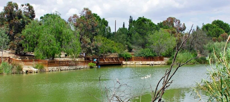 Unthinkable! They're Still Determined To Drive A Road Through Athalassa Park