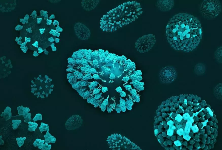 Bacteria