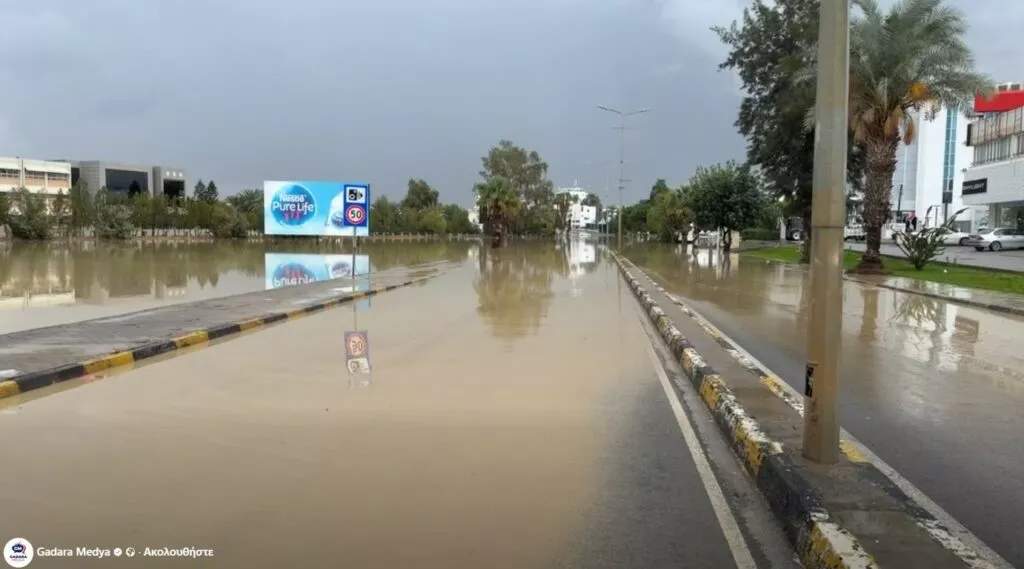 Byron Nicosia