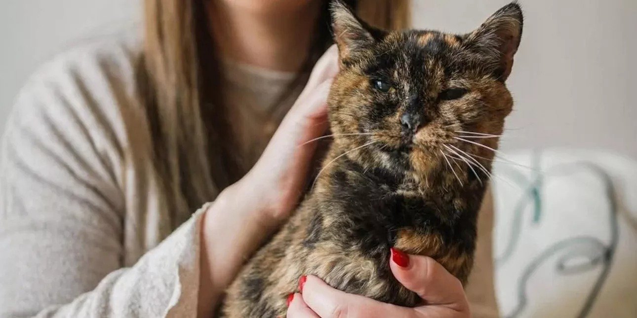 World's Oldest Cat Flossie Turns 30