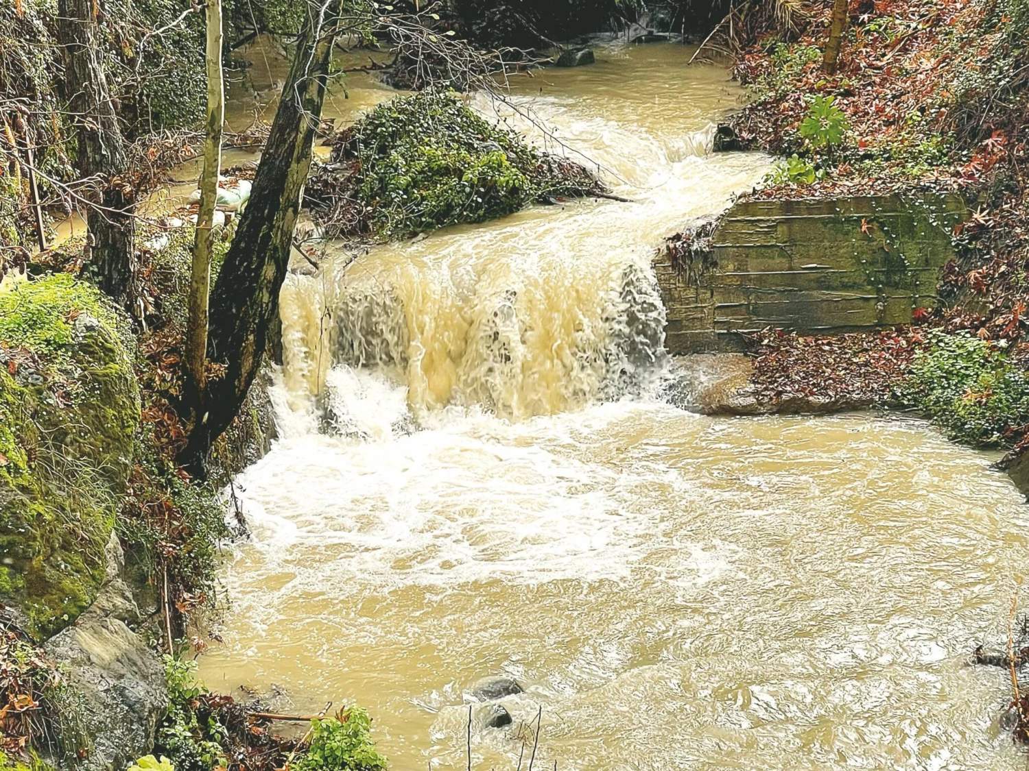 Dams Remain Almost Empty Despite Five Days Of Heavy Rainfall