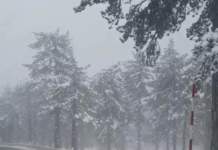 Heavy Snowfall Hits Cyprus Mountains As Police Monitor Road Network (videos)