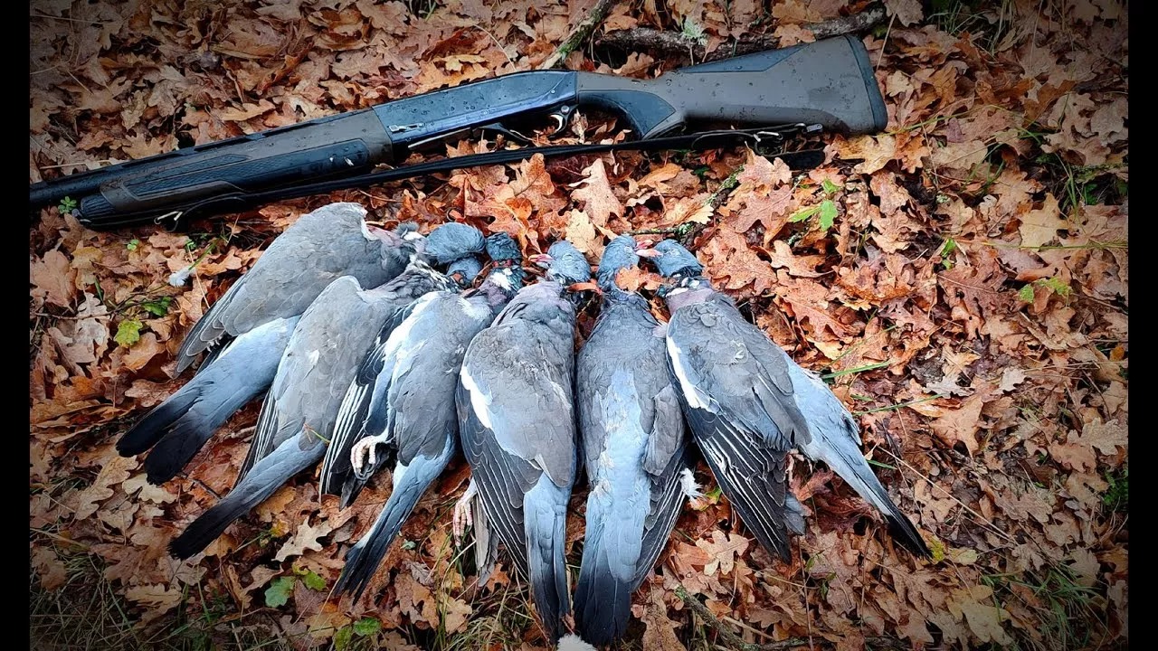 Man Involved In Paphos Poaching Case With Game Wardens Threatened At Gunpoint Freed On Bail