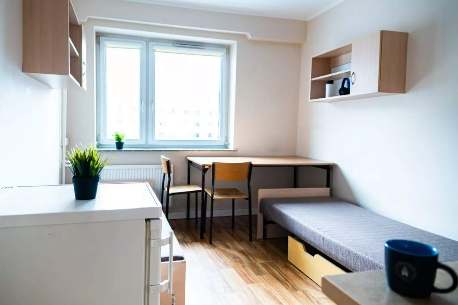Cyprus Plans 12 Sq M Student Rooms To Fix Housing Crisis