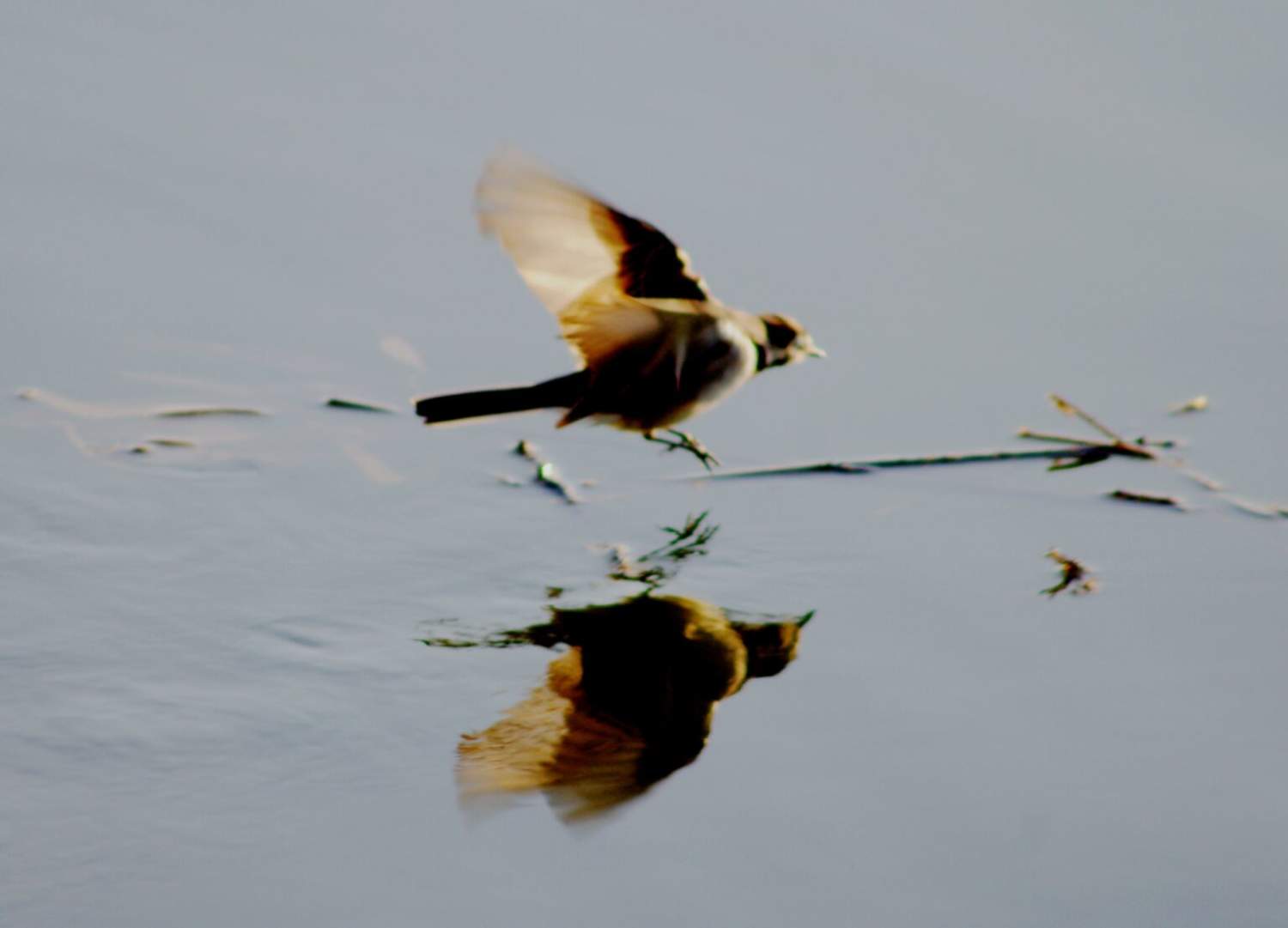 Imgp7940 1536x1107