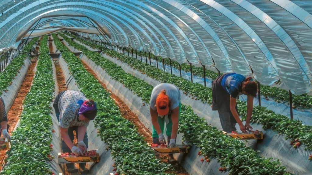 Agriculture Migration